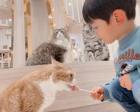 【2023年6月7日OPEN】猫カフェ MOCHA（モカ） イオンモール甲府昭和店