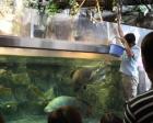 日本一標高の高い水族館で飼育員さんのお仕事にチャレンジ！