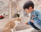 【2024年3月27日OPEN】猫カフェ MOCHA（モカ） イオンモール名古屋則武新町店