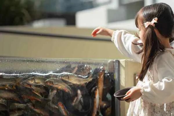 美濃陶芸の系譜 林正太郎展 | 多治見市 | 子供とお出かけ情報「いこーよ」