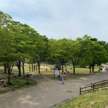【ユーザ投稿】 自然の中にあるアスレチックなど遊具...