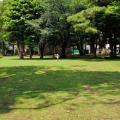 天気がいい日は思いっきり駆け回る！！品川区の穴場公園！！