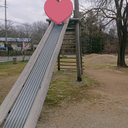 イチゴはとても沢山あり、美味しかっ...