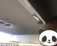 【ユーザ投稿】 トーマス好きの2歳の息子といきました。