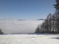 ゲレンデTOPから雲海が見えました！