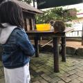 徳島に行くといつも立ち寄る動物園。
