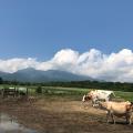 山梨県から長野県に入ってすぐにある牧場。