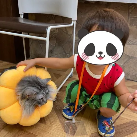 猫をなでたりは出来ます。