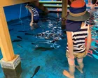 夏休み中ということか、かなり混んで...