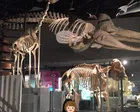 10月の平日、上野動物園に行ったつ...