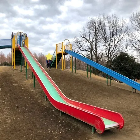 ユーザ投稿】 遊具は少なめだが、大きめ滑り台が3...』水元公園の写真 