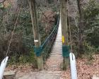 園内にあるこの吊り橋。