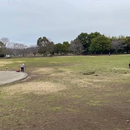 バーベキュー場が有る大きな公園です...