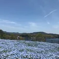 るるパーク（大分農業文化公園）