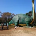 水戸市森林公園