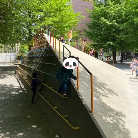 【ユーザ投稿】 とても大きな木がいくつもあり、昔な...