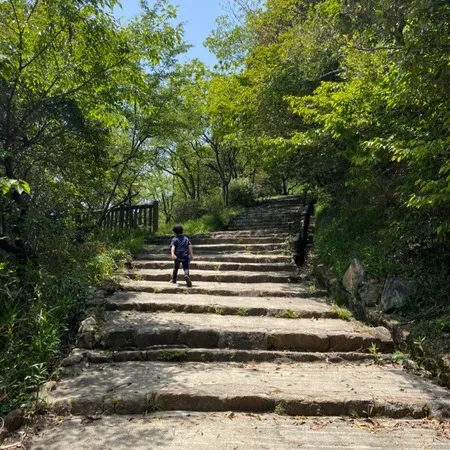 家族で山登りに。