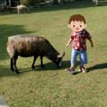 1歳の時は羊やヤギに物怖じせず近づ...