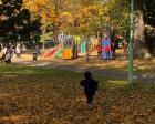 秋の円山公園。綺麗に色づいた園内を...