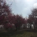 本庄総合公園
