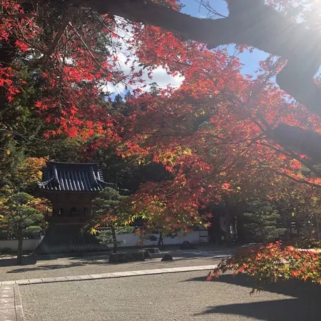 紅葉目的で行きました。