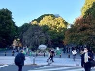 上野公園といえば桜で有名ですが、秋...