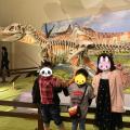 福井の恐竜博物館が来た時に行きました。