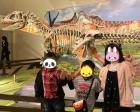 福井の恐竜博物館が来た時に行きました。