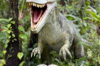 亜熱帯植物園の中に、恐竜が80体ほ...