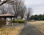 若松町公園