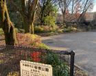 桜堤公園（武蔵野市）