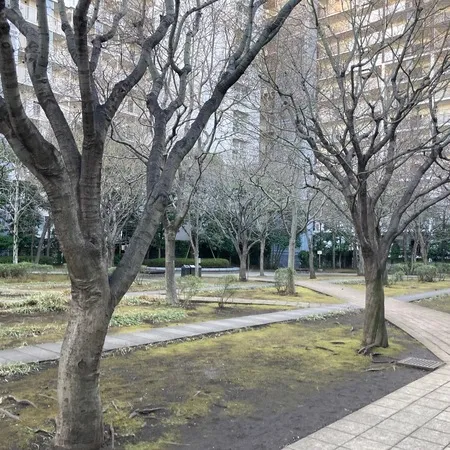 【ユーザ投稿】 2階部分にあります。第二公園と歩道...