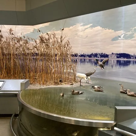 鳥の剥製多数で始祖鳥化石もそろって...