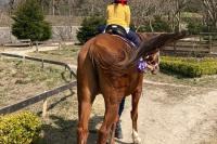 3歳の娘が一人で乗馬体験をしました...