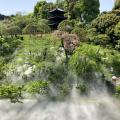 霧の庭園の演出、東京雲海を楽しめま...