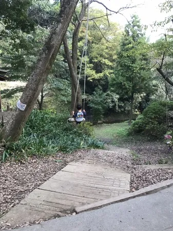 ギリギリ寒くなる前に初キャンプに出...