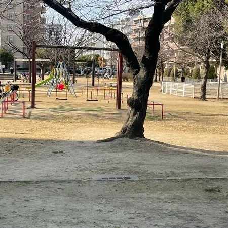 広い公園です。特に何かあるわけでは...