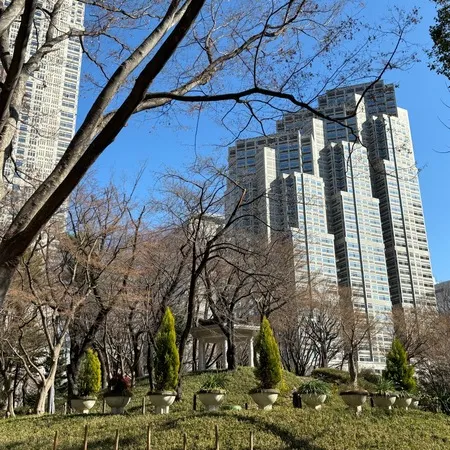 【ユーザ投稿】 スタバ・芝生広場・子供広場・スポー...