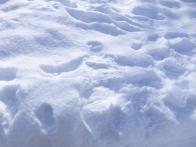 子供と雪遊びをしに、羊ヶ丘スノーパ...