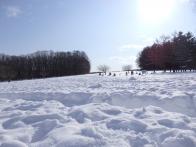 子供と雪遊びをしに、羊ヶ丘スノーパ...