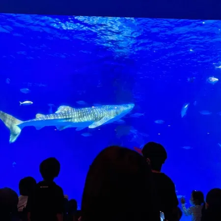 【ユーザ投稿】 GWのイベント目的で行きました。