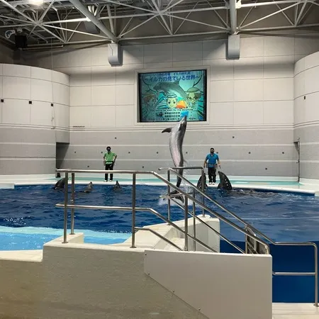 【ユーザ投稿】 GWのイベント目的で行きました。