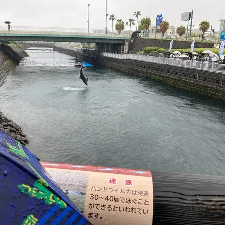 【ユーザ投稿】 GWのイベント目的で行きました。