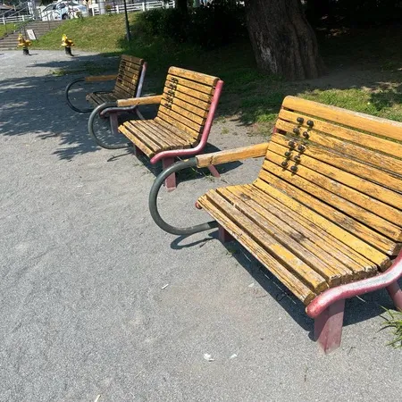 イボ付きのベンチがなかなか見ないの...