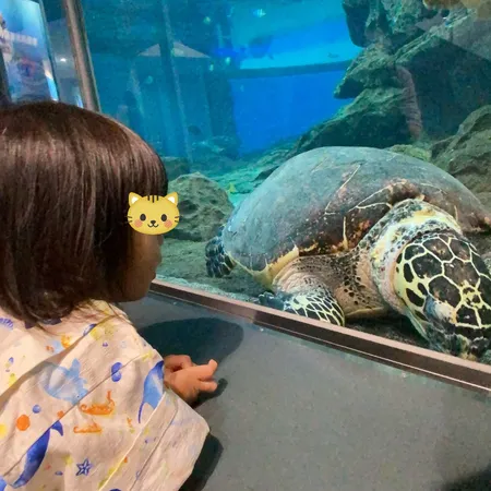 名古屋港水族館にはよく行っています...