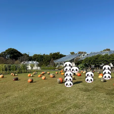 休日にハロウィンの巨大かぼちゃを見...