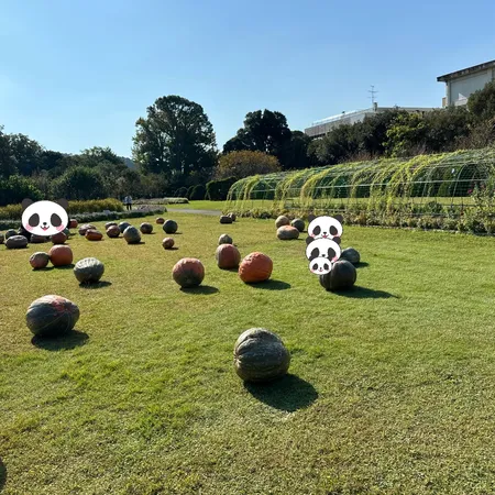 休日にハロウィンの巨大かぼちゃを見...