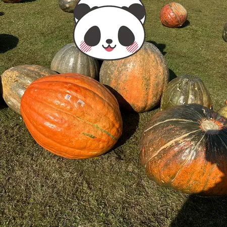 休日にハロウィンの巨大かぼちゃを見...