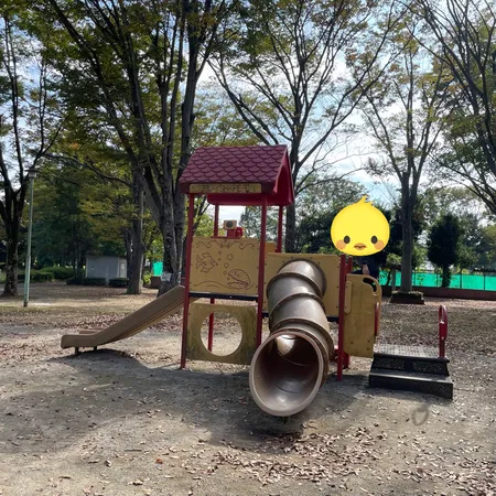 健康遊具が多めで、幼児向けはスプリ...