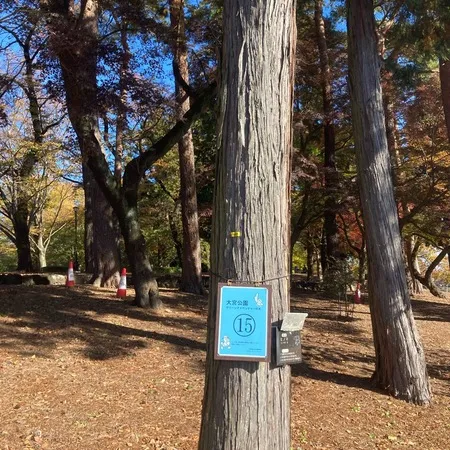 お花見も良いけれど…秋のお茶席も風...